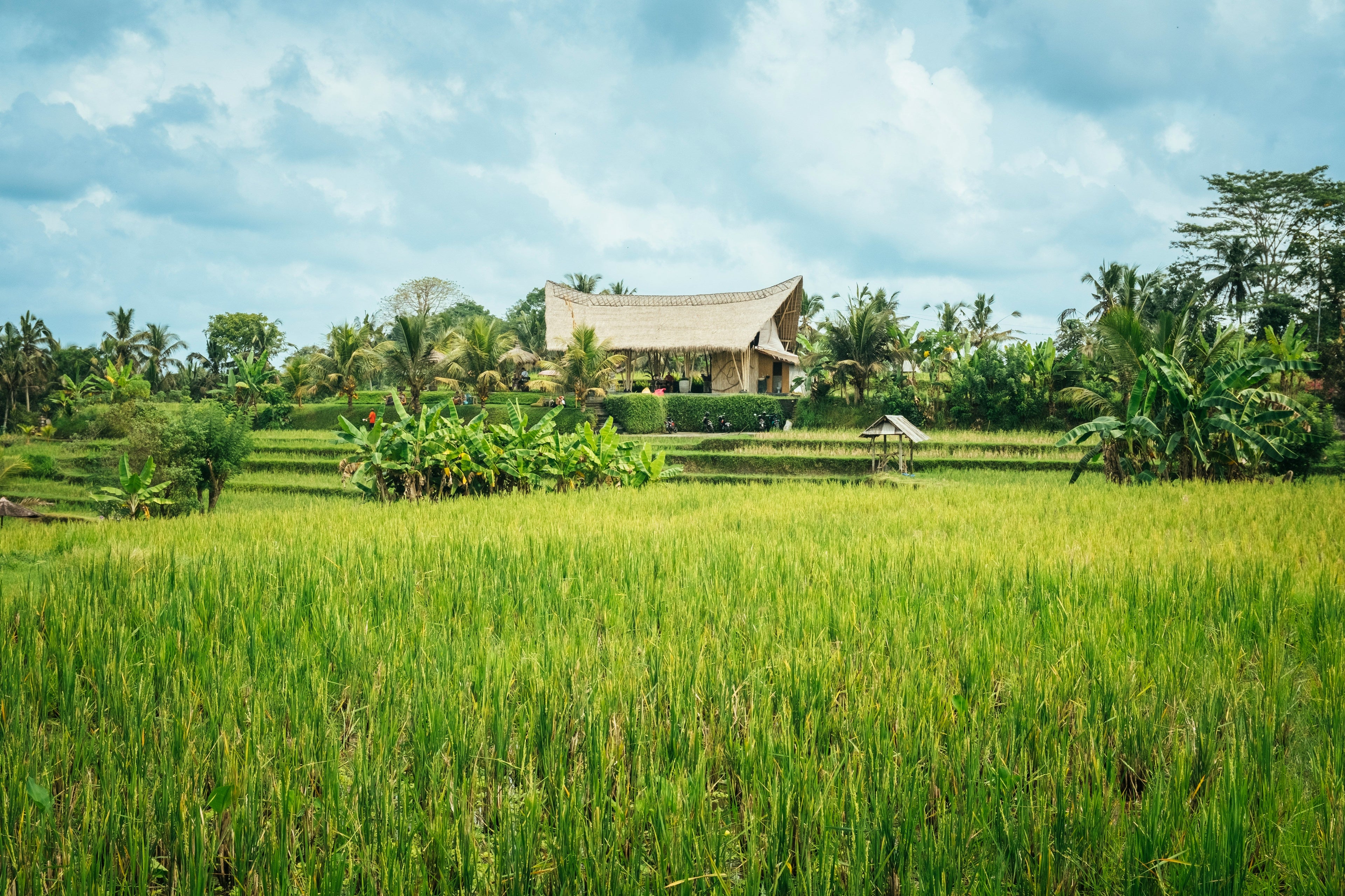 Ubud