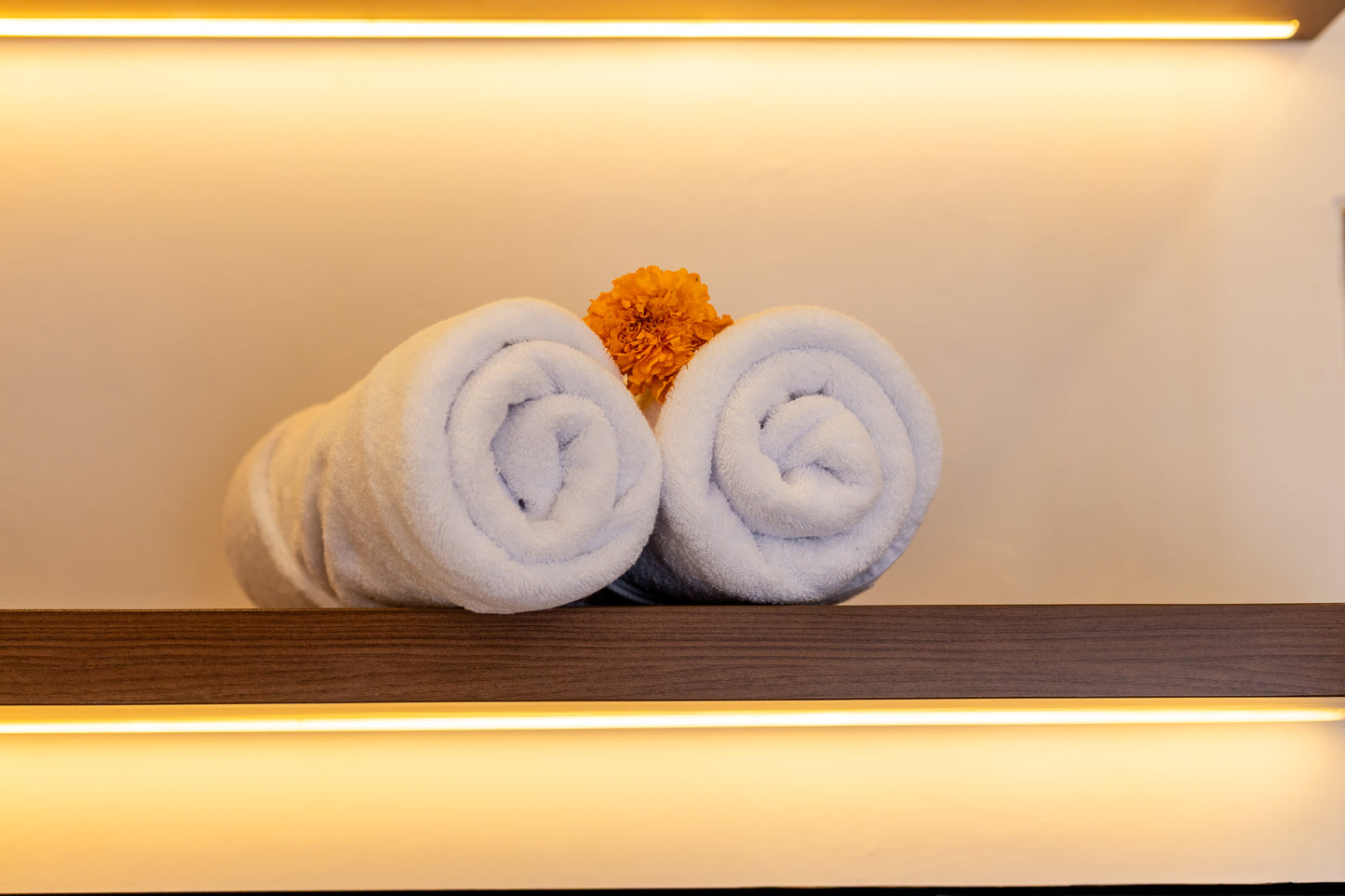 Ellavie 3BR Villa In  Nusa Dua A3